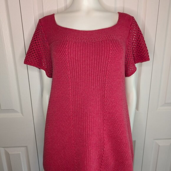 Ann Taylor Loft Pullover Sweater Women's Large Pink Short Sleeve Round Neck EUC - Picture 1 of 5